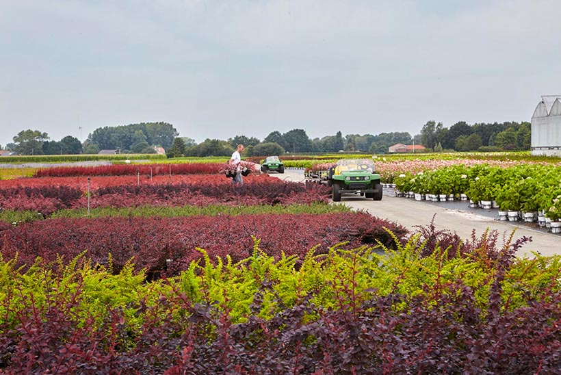 Landscape image of a nursery, Bedrijfsbeelden DeNolf